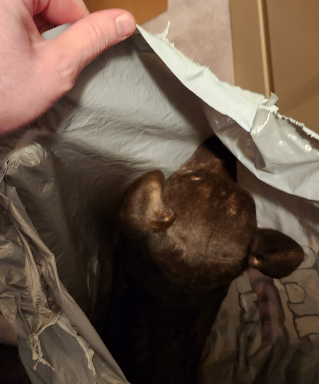 Top of the doppleganger