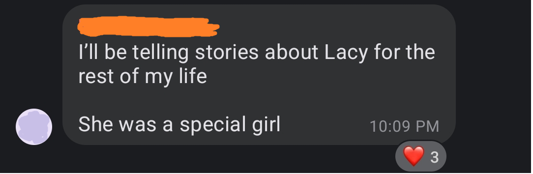 Screenshot of a message saying 'I'll be telling stories about Lacy for the rest of my life. She was a special girl.