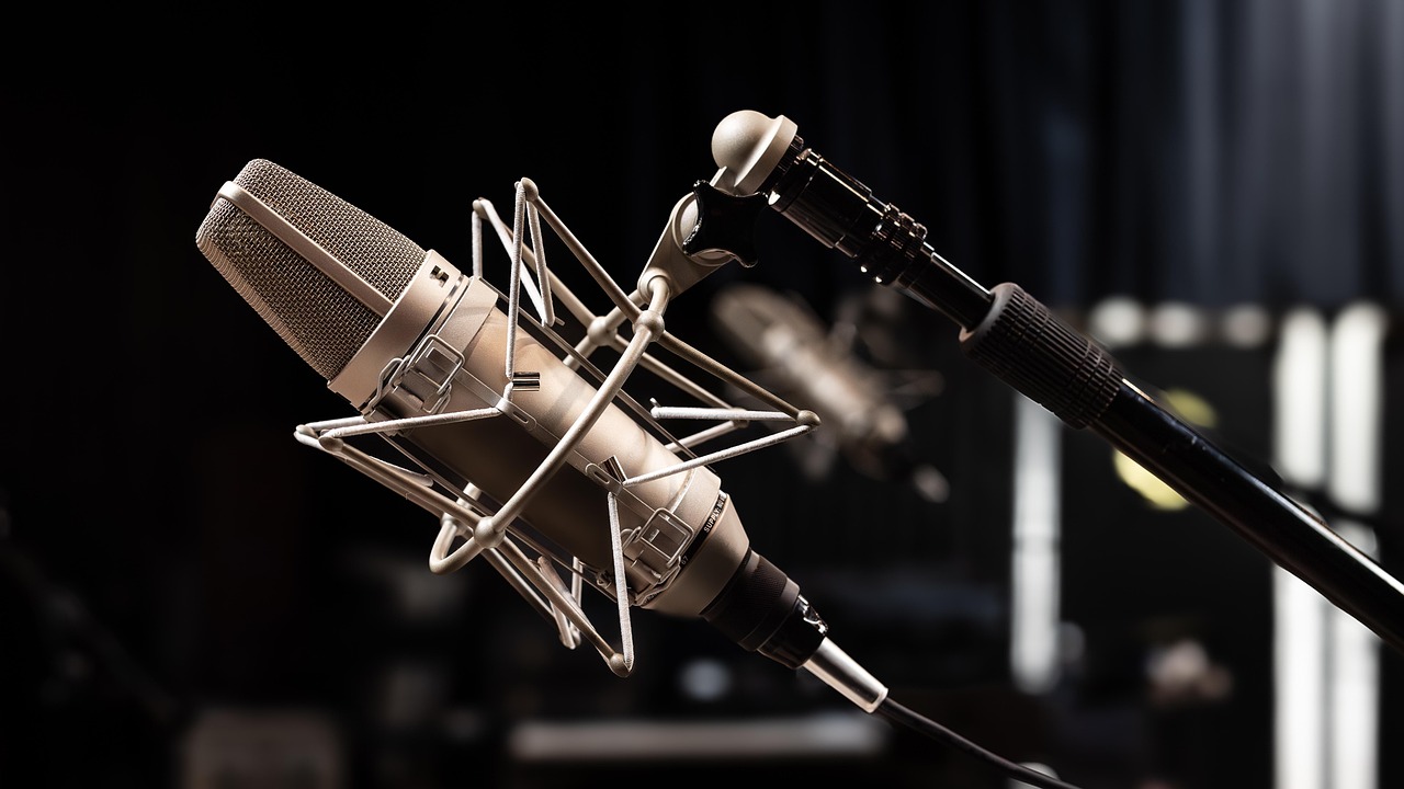 A microphone in a stand.